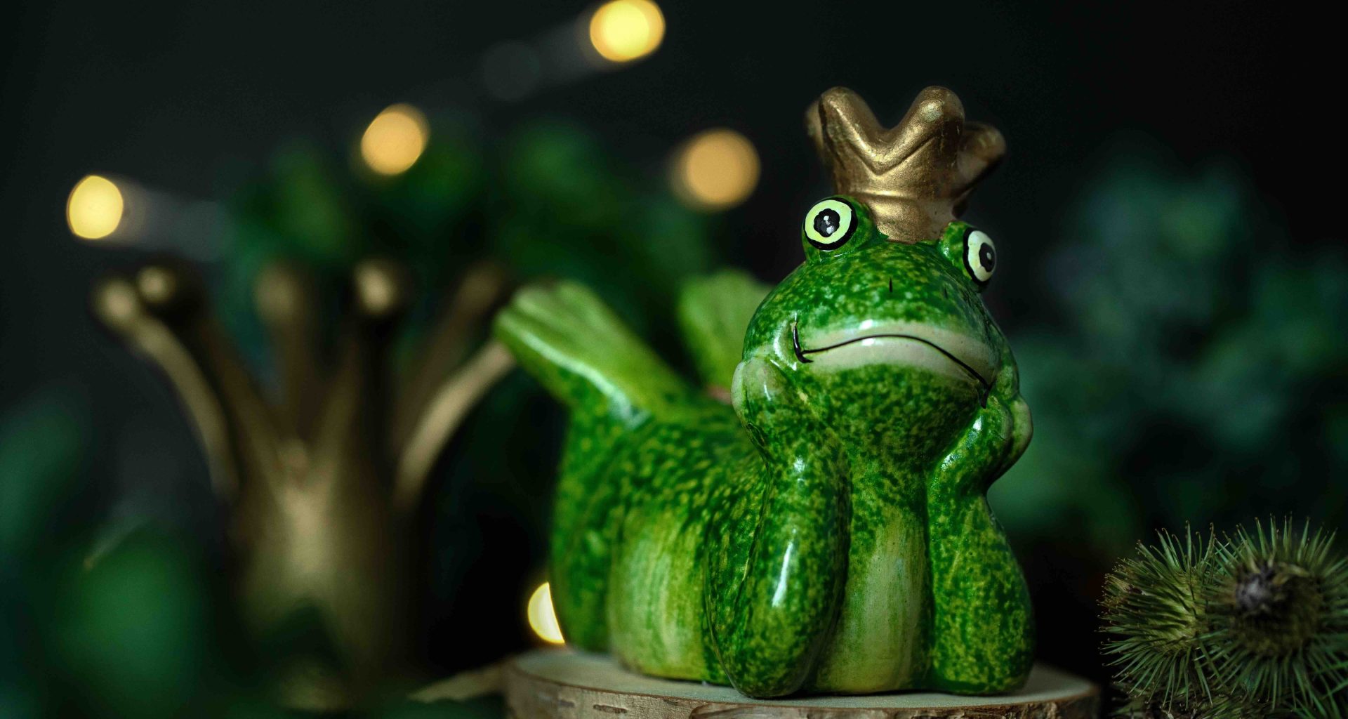 The Frog Prince Meets Sleeping Beauty